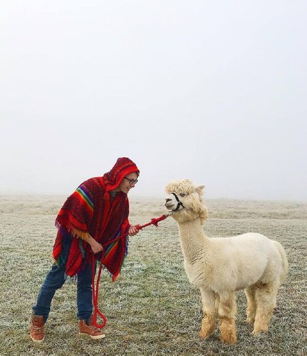 Ilya Smirnov với lạc đà cừu Alpaca - Sputnik Việt Nam