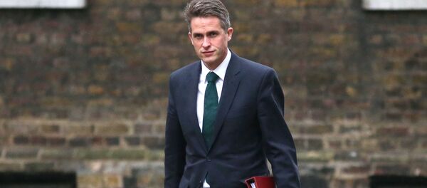 Gavin Williamson - Sputnik Việt Nam