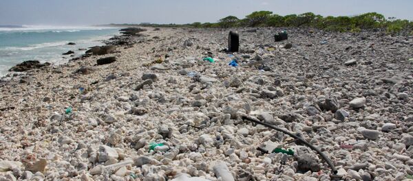 Rác, Hoa Kỳ - Sputnik Việt Nam