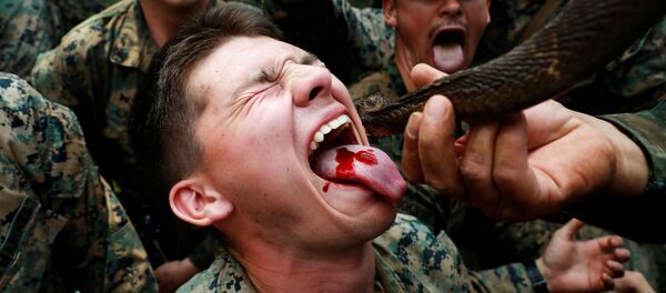 Các binh sĩ uống máu rắn trong buổi huấn luyện sinh tồn rừng rậm - một phần cuộc tập trận Cobra Gold ở Thái Lan - Sputnik Việt Nam