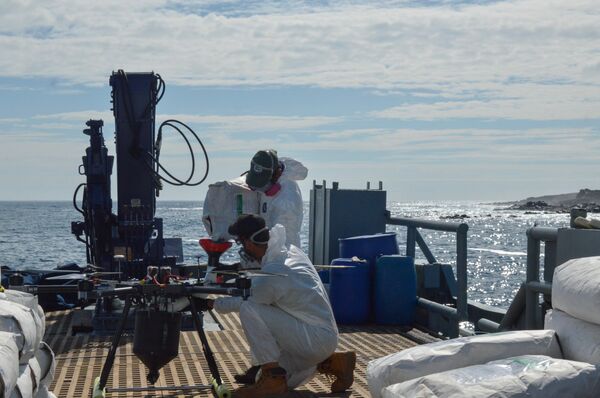 Việc rải thuốc diệt chuột trên đảo Seymour Norte Việc rải thuốc diệt chuột trên đảo Seymour Norte - Sputnik Việt Nam