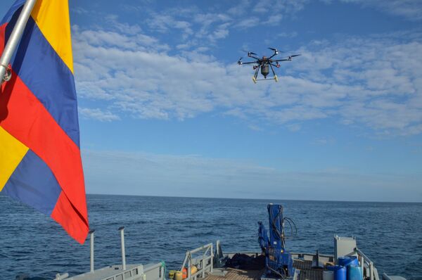 Phun chất độc diệt chuột từ máy bay không người lái Phun chất độc diệt chuột từ máy bay không người lái - Sputnik Việt Nam