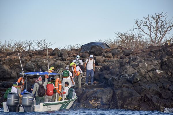 Việc rải thuốc diệt chuột trên đảo Seymour Norte Việc rải thuốc diệt chuột trên đảo Seymour Norte - Sputnik Việt Nam