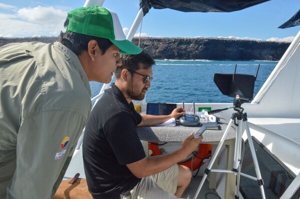 Phun chất độc diệt chuột từ máy bay không người lái Phun chất độc diệt chuột từ máy bay không người lái - Sputnik Việt Nam