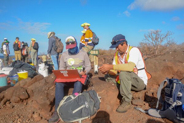 Phun chất độc diệt chuột từ máy bay không người lái Phun chất độc diệt chuột từ máy bay không người lái - Sputnik Việt Nam