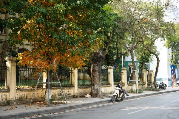 Khu vực xung quanh Hồ Gươm ở Hà Nội Khu vực xung quanh Hồ Gươm ở Hà Nội - Sputnik Việt Nam