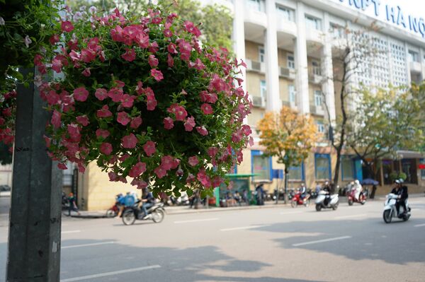 Việt Nam - Điều diệu kỳ của châu Á - Sputnik Việt Nam