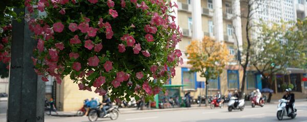 Khu vực xung quanh Hồ Gươm ở Hà Nội Khu vực xung quanh Hồ Gươm ở Hà Nội - Sputnik Việt Nam