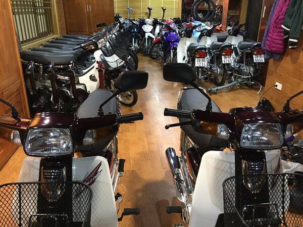 Bộ sưu tập Honda Dream của anh Hưng có đến 100 chiếc Dream Thái hàng hiếm. - Sputnik Việt Nam