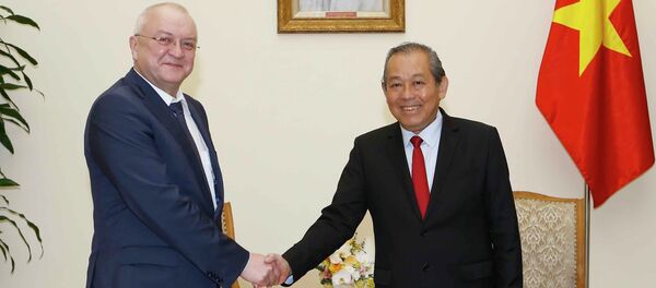 Phó Thủ tướng Trương Hòa Bình đón ông Alexander Anikin. - Sputnik Việt Nam