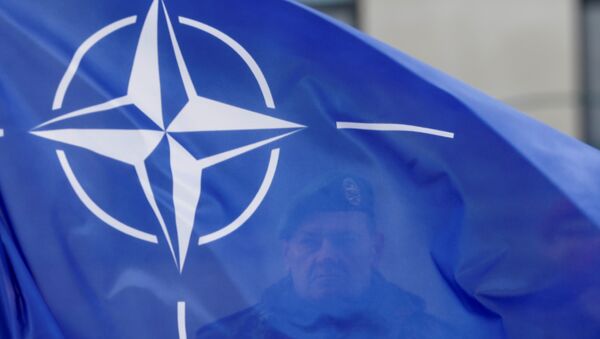 A German soldier holds NATO flag during a ceremony to welcome the German battalion being deployed to Lithuania as part of NATO deterrence measures against Russia in Rukla - Sputnik Việt Nam