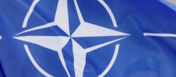 A German soldier holds NATO flag during a ceremony to welcome the German battalion being deployed to Lithuania as part of NATO deterrence measures against Russia in Rukla - Sputnik Việt Nam