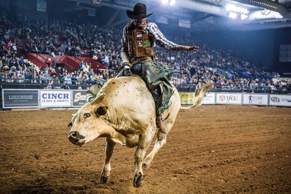 Người tham gia cuộc thi Tuff Hedeman Bull Riding Tour ở Texas - Sputnik Việt Nam