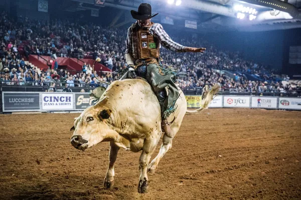 Người tham gia cuộc thi Tuff Hedeman Bull Riding Tour ở Texas Người tham gia cuộc thi Tuff Hedeman Bull Riding Tour ở Texas - Sputnik Việt Nam