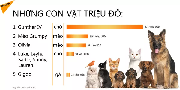 Những con vật triệu đô Những con vật triệu đô - Sputnik Việt Nam