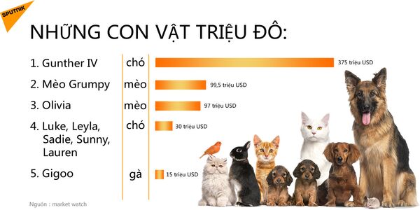 Những con vật triệu đô - Sputnik Việt Nam