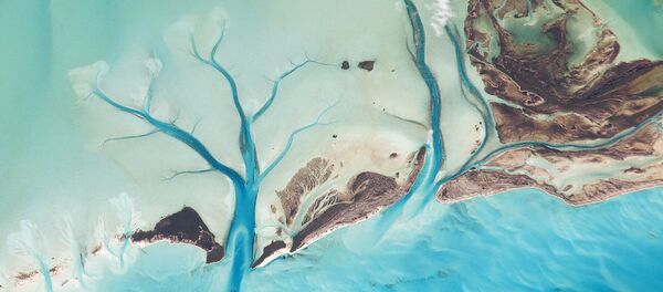 Quanh cảnh Long Island, đảo Bahamas nhìn từ không gian - Sputnik Việt Nam