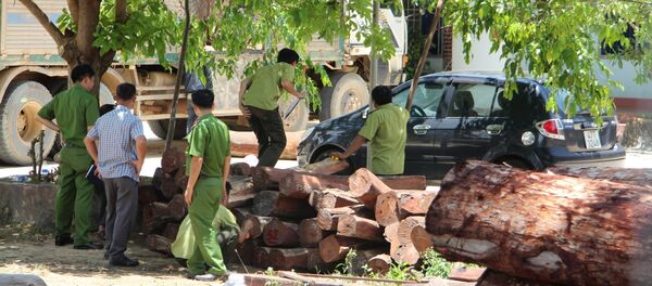 Vụ bắt ông “trùm” Phượng “râu” - Sputnik Việt Nam