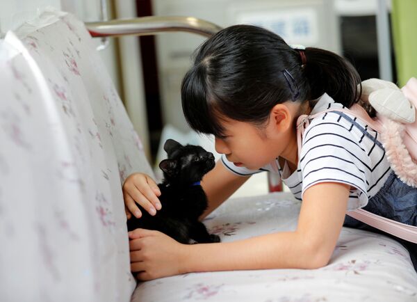 Cô bé với chú mèo con trong toa phục vụ ăn uống trên chuyến tàu đặc biệt dành cho mèo ở Ogaki, Nhật Bản - Sputnik Việt Nam