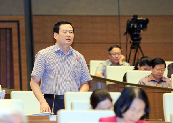 Ông Nguyễn Đình Quyền - Phó Chủ nhiệm Ủy ban Tư pháp Quốc hội - Sputnik Việt Nam