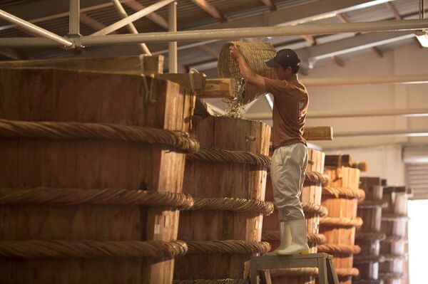 Sản xuất nước mắm truyền thống ở Phú Quốc - Sputnik Việt Nam