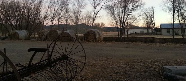 Những nạn nhân của cuộc chiến thương mại. Số nợ nông dân Mỹ vọt lên mức kỷ lục Những nạn nhân của cuộc chiến thương mại. Số nợ nông dân Mỹ vọt lên mức kỷ lục - Sputnik Việt Nam