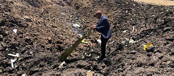 Phi công quân sự về nguyên nhân dẫn đến vụ rơi máy bay ở Ethiopia - Sputnik Việt Nam