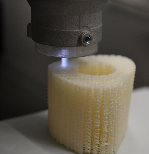 Khi chiếc xương được in 3D - Sputnik Việt Nam