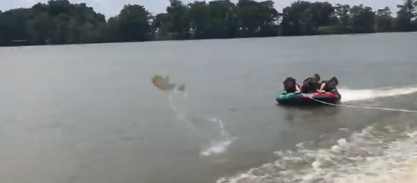 Cá khủng nhảy lên quật ngã đứa trẻ xuống nước (Video) Cá khủng nhảy lên quật ngã đứa trẻ xuống nước (Video) - Sputnik Việt Nam