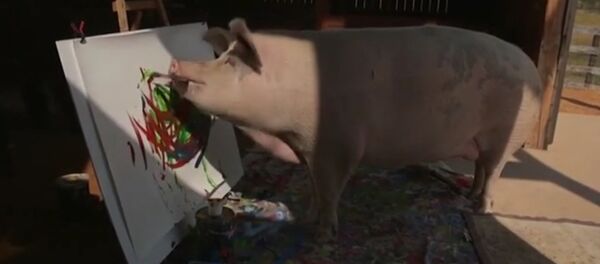 Họa sĩ lợn mê hoặc giới yêu thích nghệ thuật - Sputnik Việt Nam