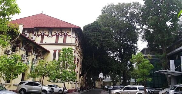 Cây xà cừ trong sân Bộ tư pháp Cây xà cừ trong sân Bộ tư pháp - Sputnik Việt Nam