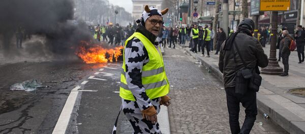 Người tham gia phong trào Áo gi lê vàng” Người tham gia phong trào Áo gi lê vàng” - Sputnik Việt Nam