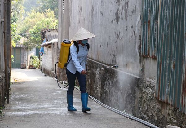 Chống dịch tả lợn Châu Phi ở Việt Nam: cả nước vào cuộc - Sputnik Việt Nam