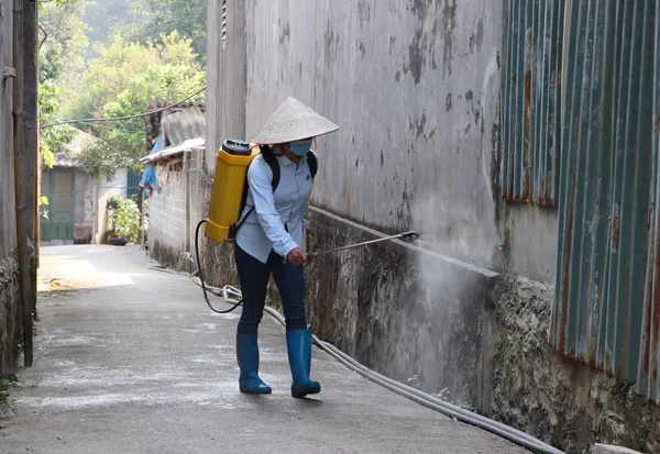 Chống dịch tả lợn Châu Phi ở Việt Nam: cả nước vào cuộc Chống dịch tả lợn Châu Phi ở Việt Nam: cả nước vào cuộc - Sputnik Việt Nam