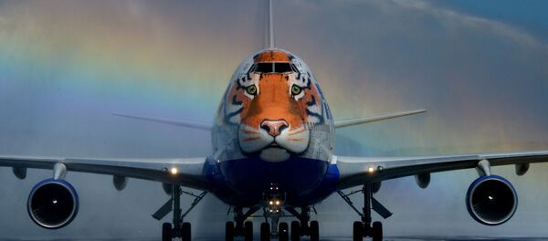 Máy bay Boeing 747-400 của hãng hàng không Transaero  sơn màu lông hổ trong đề án Chuyến bay lông vằn. - Sputnik Việt Nam
