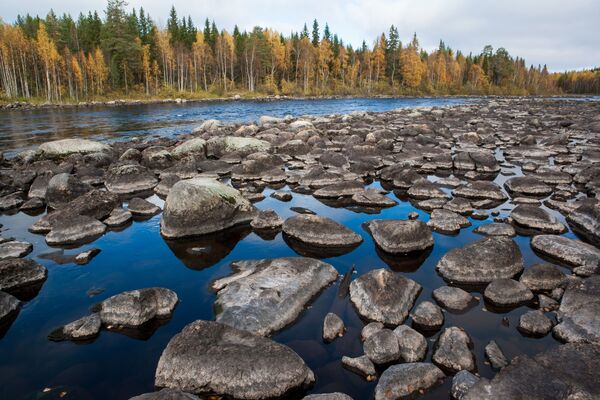 Mùa thu ở Karelia (Nga) - Sputnik Việt Nam