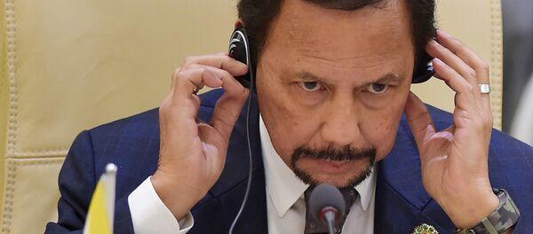 Hassanal Bolkiah Mu'izzaddin Waddaulah - đương kim Sultan, Thủ tướng, Bộ trưởng Bộ Quốc phòng, Bộ trưởng Bộ Tài chính của Brunei Darussalam - Sputnik Việt Nam