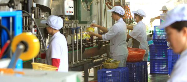 Dây chuyền đóng chai nước mắm Cát Hải ngay tại xưởng. Dây chuyền đóng chai nước mắm Cát Hải ngay tại xưởng. - Sputnik Việt Nam