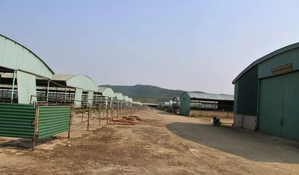 Cảnh tan hoang tại dự án chăn nuôi bà ở Hà Tĩnh Cảnh tan hoang tại dự án chăn nuôi bà ở Hà Tĩnh - Sputnik Việt Nam