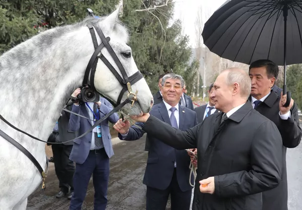 Tổng thống Nga Vladimir Putin với con ngựa Orlov do Tổng thống Kyrgyzstan Sooronbai Zheenbekov tặng ở Bishkek Tổng thống Nga Vladimir Putin với con ngựa Orlov do Tổng thống Kyrgyzstan Sooronbai Zheenbekov tặng ở Bishkek - Sputnik Việt Nam