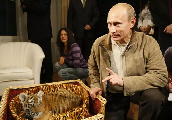 Trong một lần sinh nhật, ông Putin được tặng một con hổ Amur hai tháng tuổi. Về sau, con hổ cái tên là Masha đã được chuyển từ dinh thự ở Novo-Ogarevo đến Công viên Safari Gelendzhik Trong một lần sinh nhật, ông Putin được tặng một con hổ Amur hai tháng tuổi. Về sau, con hổ cái tên là Masha đã được chuyển từ dinh thự ở Novo-Ogarevo đến Công viên Safari Gelendzhik - Sputnik Việt Nam