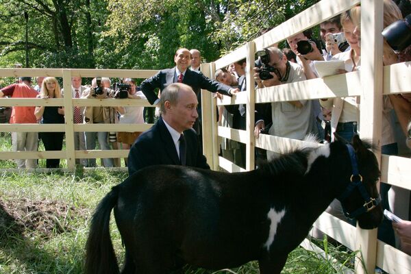 Президент России ВTổng thống Nga Vladimir Putin với con ngựa lùn tên là Vadik. Đây là giống ngựa Falabella nhỏ nhất thế giới, do thị trưởng Nizhnekamsk Zheenbekov Ilsur Metshin tặng tổng thống Ngaладимир Путин с мини-лошадкой по имени Вадик, подаренной ему в Казани - Sputnik Việt Nam