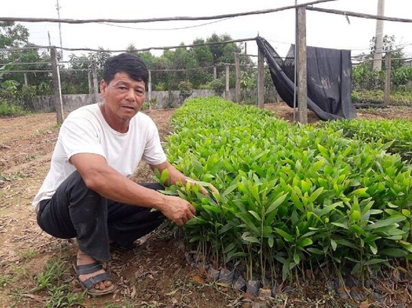 Trại bò nghìn tỷ khiến cha con Trần Bắc Hà bị bắt, dân ào vào chiếm đất - Sputnik Việt Nam