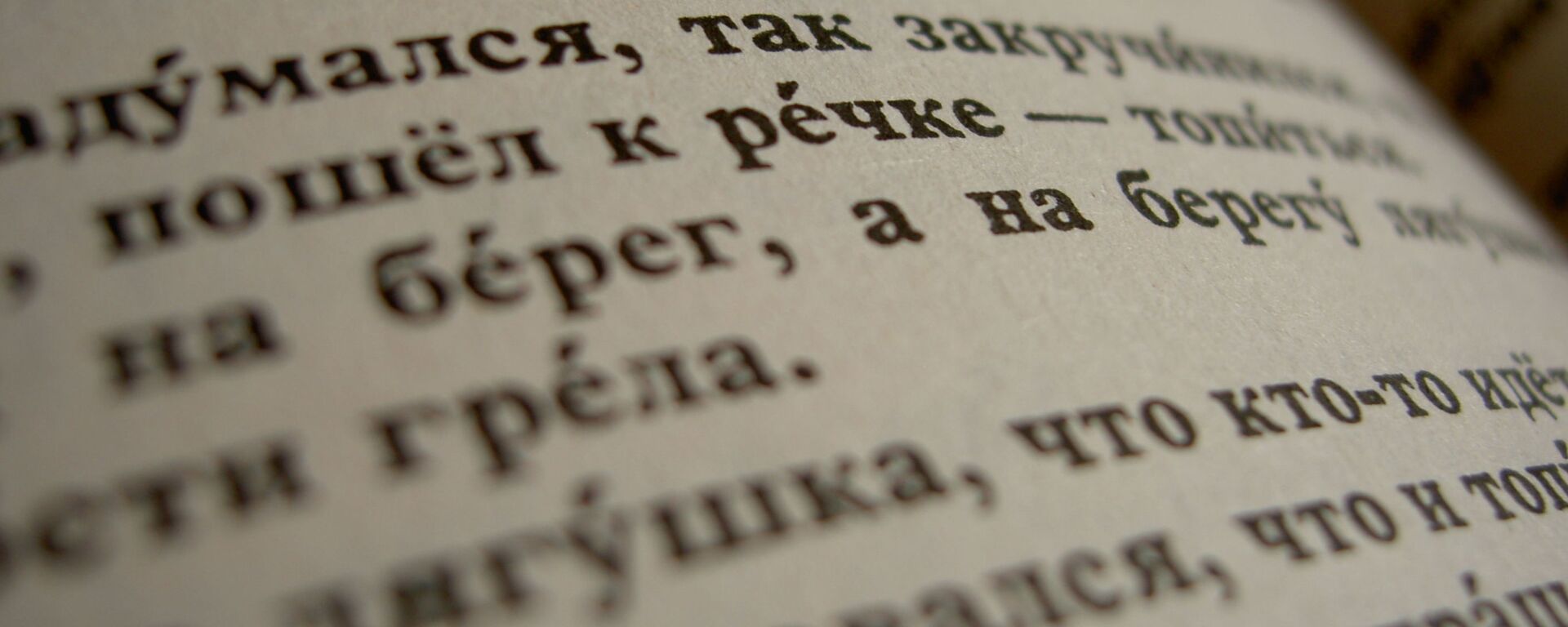 Книга на русском языке - Sputnik Việt Nam, 1920, 07.11.2025