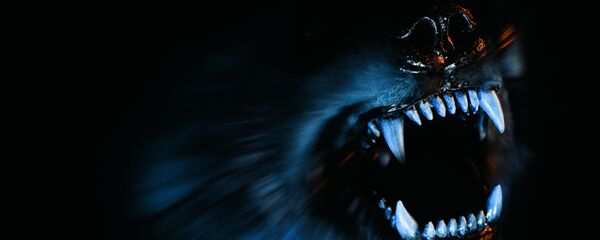 con chó  - Sputnik Việt Nam