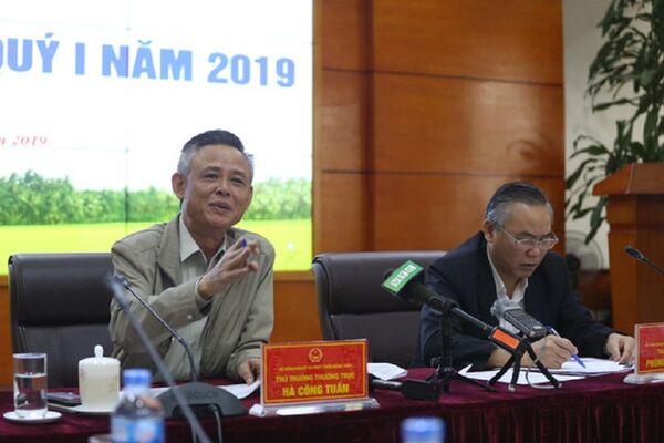 Thu mua lợn sạch, cấp đông thịt để đối phó dịch tả lợn châu Phi Thu mua lợn sạch, cấp đông thịt để đối phó dịch tả lợn châu Phi - Sputnik Việt Nam