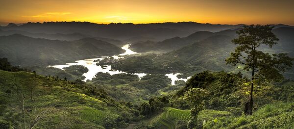 Khu rừng Việt Nam - Sputnik Việt Nam