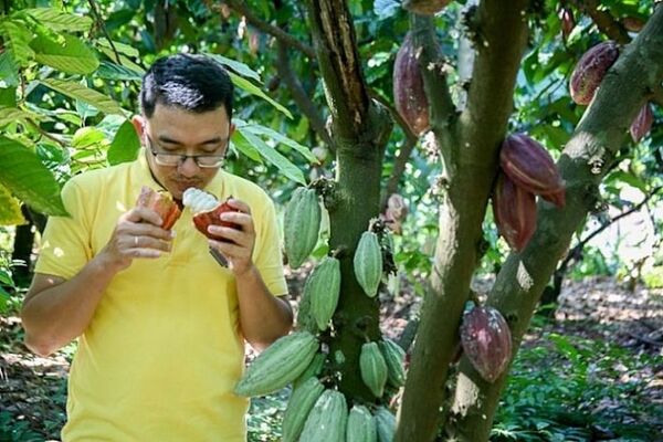 Nước mắt tưới chặng đường đưa socola hữu cơ Việt đến với Nhật Bản - Sputnik Việt Nam