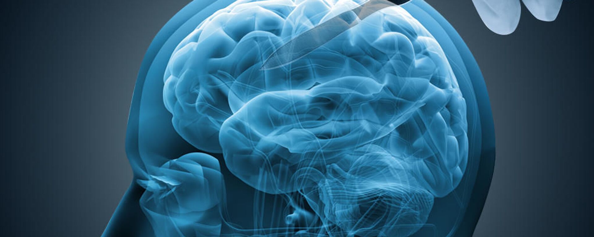 Chỉnh sửa bộ nhớ - Sputnik Việt Nam, 1920, 10.01.2026