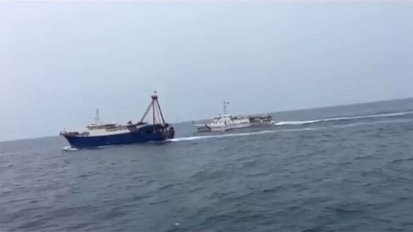 Xâm phạm vùng biển, tàu cá Trung Quốc bị tàu kiểm ngư Việt Nam xịt vòi rồng đuổi đi Xâm phạm vùng biển, tàu cá Trung Quốc bị tàu kiểm ngư Việt Nam xịt vòi rồng đuổi đi - Sputnik Việt Nam